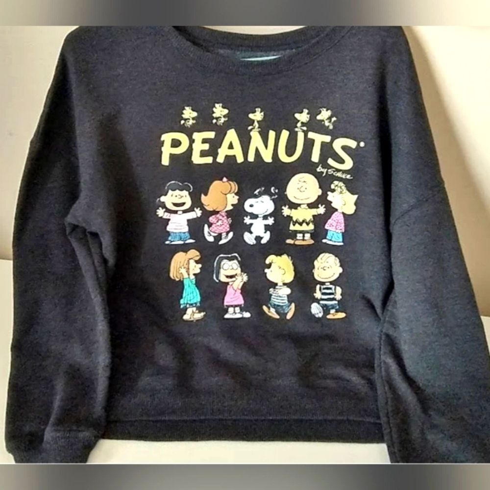 PEANUTS Snoopy & Friends Graphic Gray Sweatshirt SZ Large